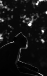 Quiet contemplation