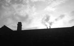 Silhouettes of a Passing Moment