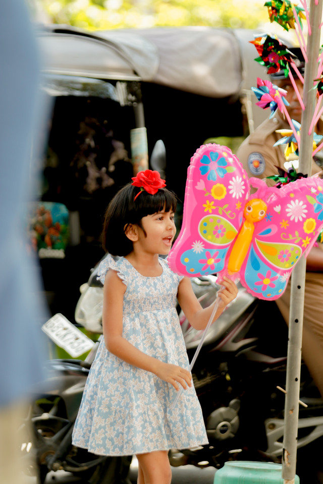 2 Butterflies in One Frame