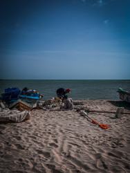 Life by the Shore