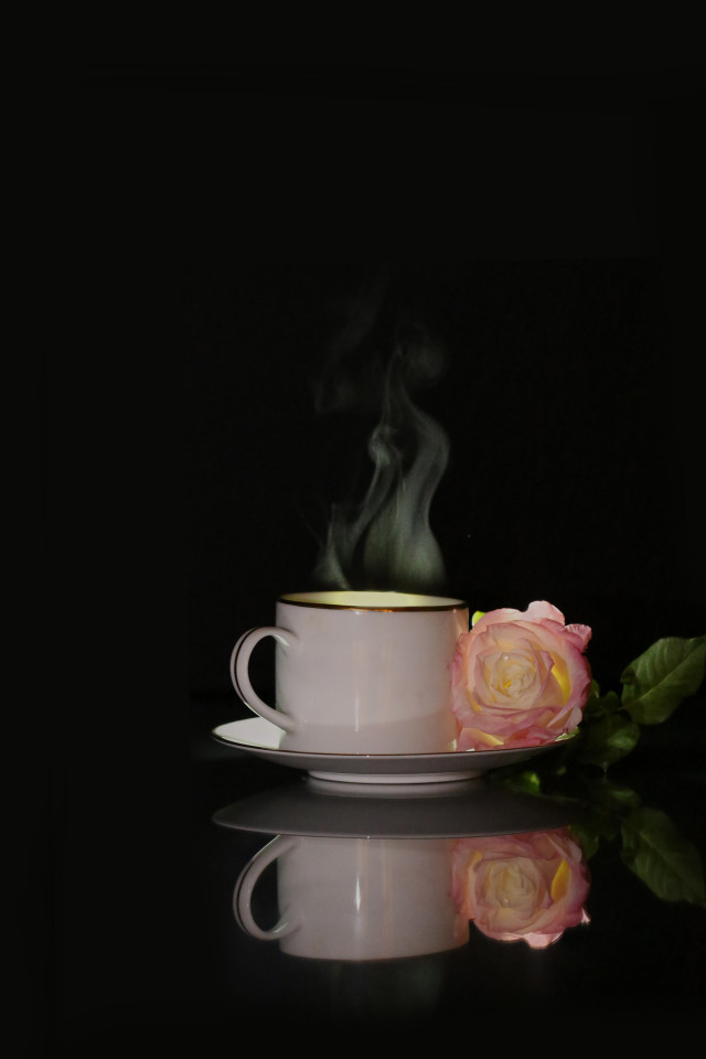 Warmth and Petals