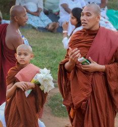 On the path of wisdom