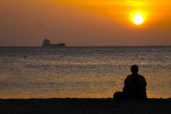 Whispers of the Horizon