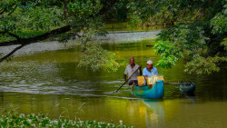 Journey Through Green Water