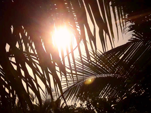 Sunlight in hiding