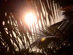 Sunlight in hiding