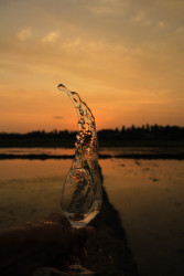 Splash of sunset