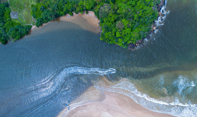 Bird View