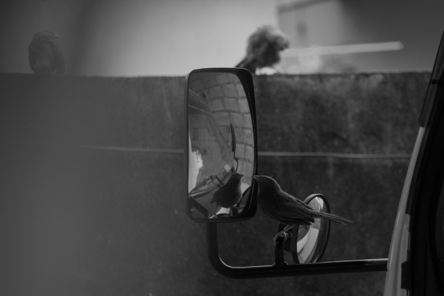 Erasing my self in a mirror