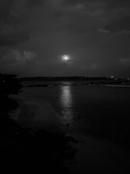 Moonlight