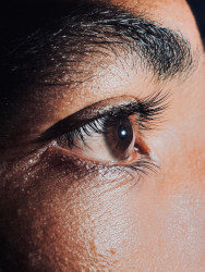 The eye