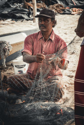 Netting A Living