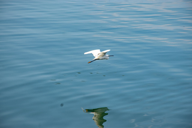 Freedom
