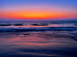Violet Tides