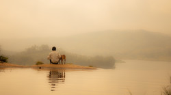 Serenity in Peace