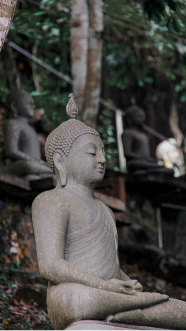 The sacred Harmony of the Nature