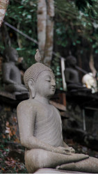 The sacred Harmony of the Nature