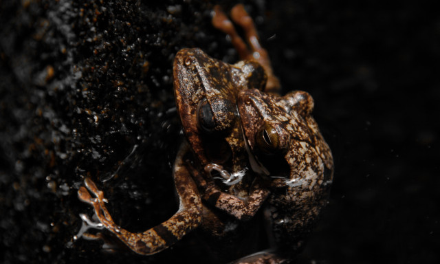 Nature's Way of Preserving Life