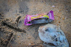 A Taste Of Neglect