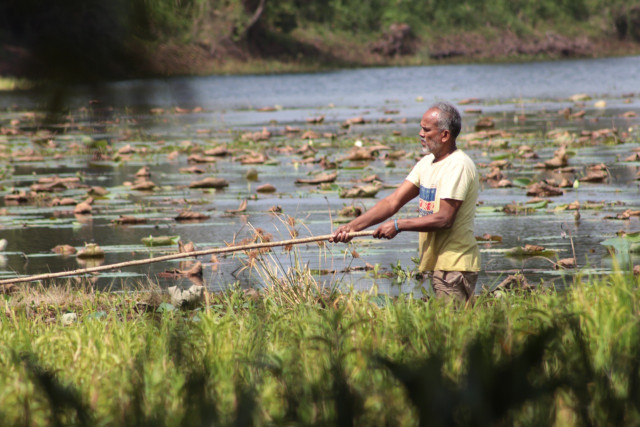 Fisherman