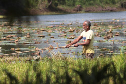 Fisherman