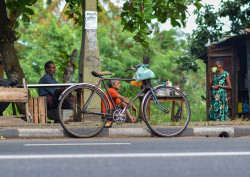 By the roadside