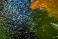 Patterns