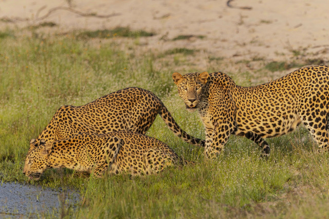 “Family moments by the river