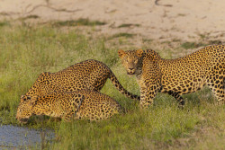 “Family moments by the river
