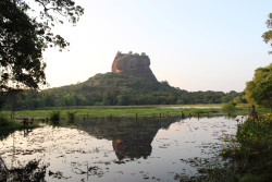 Echoes of the Lion Rock