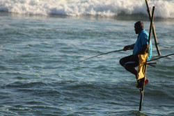 Keeper of the Coast