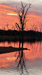 Sun set