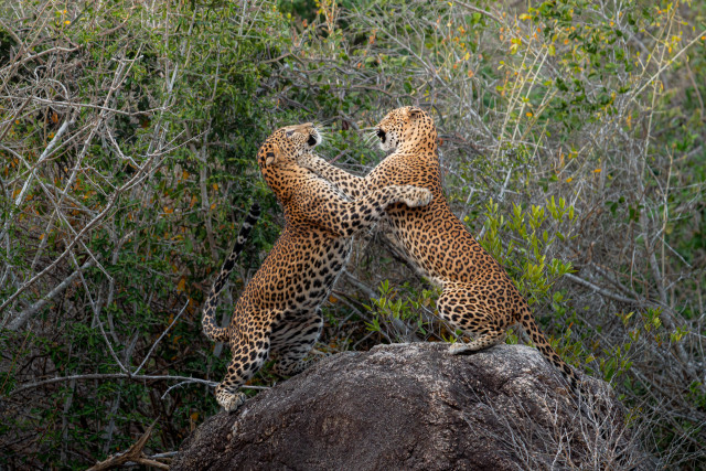 Dancing with Mom
