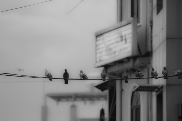 Stillness in the noise