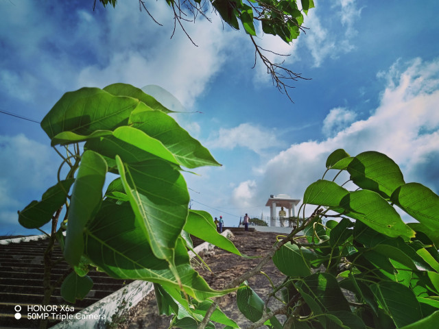Nature