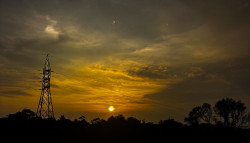 Golden Currents