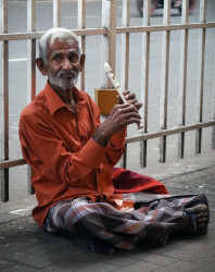 The Melodies of the Street