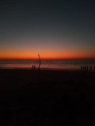 Sunset Serenade
