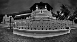 Sri Lankan Pride