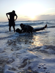 Beach, Beach Life & Activities