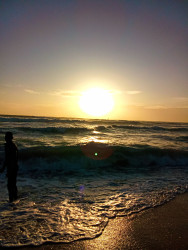 Sunset