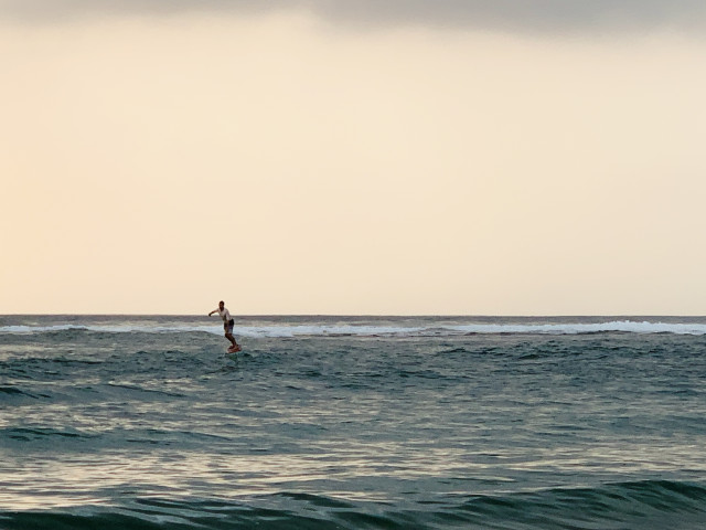 Gliding Over Waves.