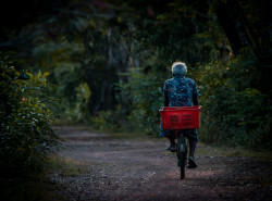 Journey of a Empty Basket