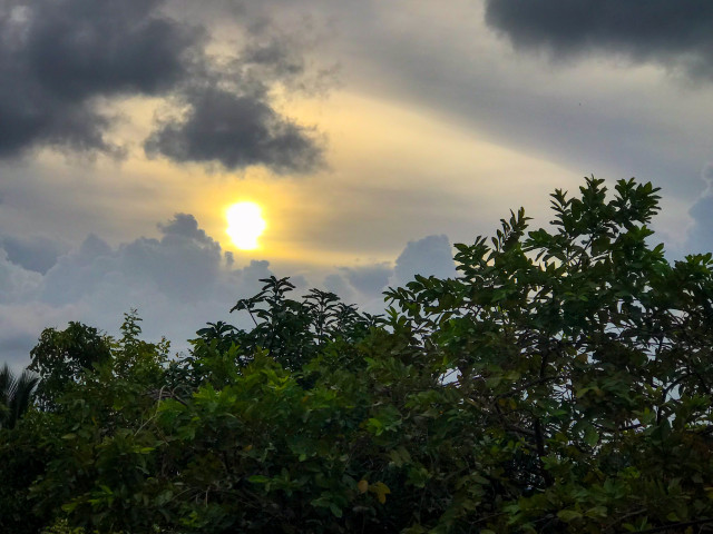 Beauty of Nature