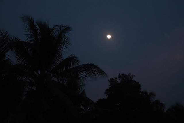 Lunar Glow