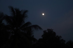 Lunar Glow