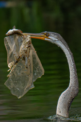AGAINST THE WATER  POLLUTION