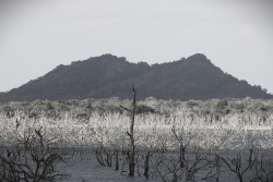 Echoes of Silence