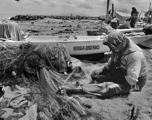 Trawling