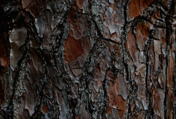 Texture